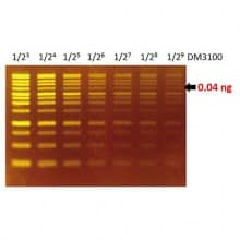 DS1000 Sensitivity of FluoroStain